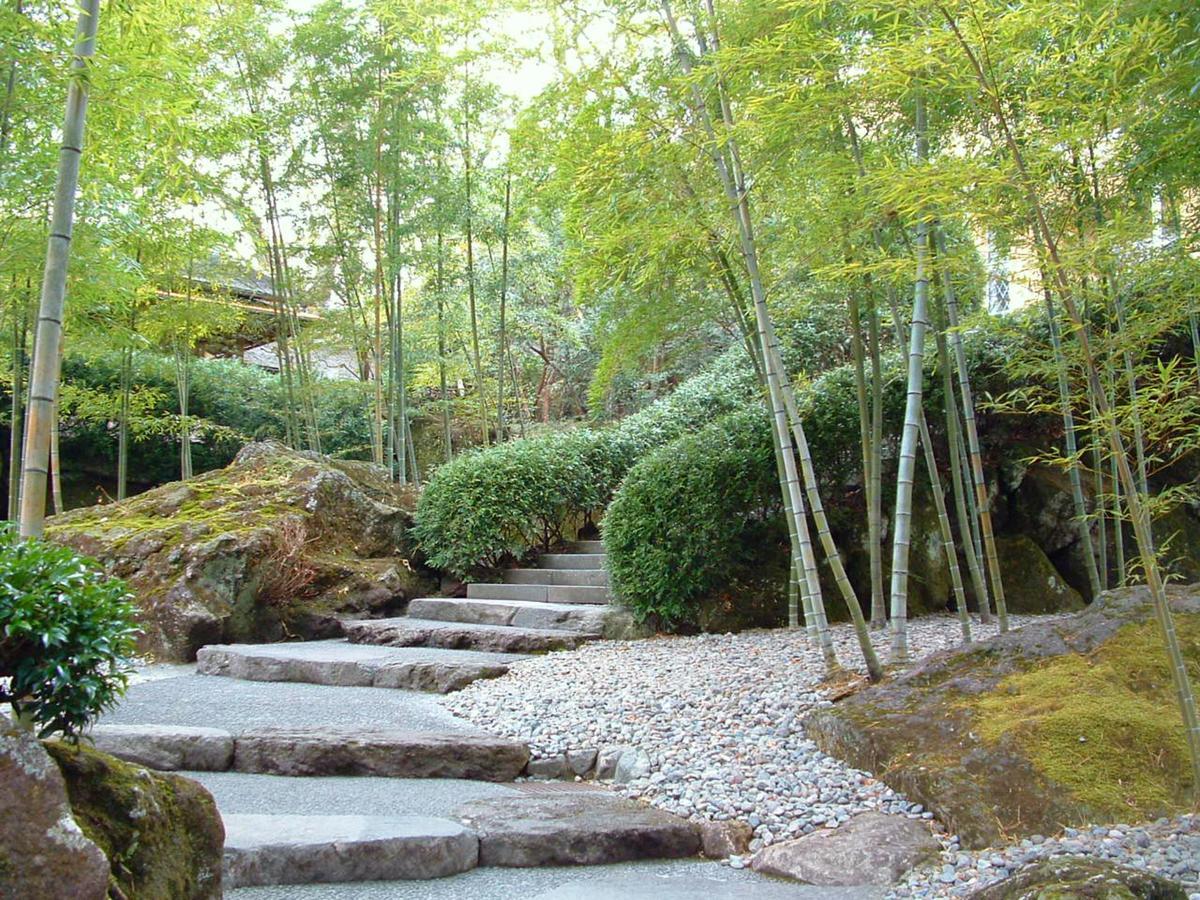 Tkp Lectore Hakone Gora Eksteriør bilde