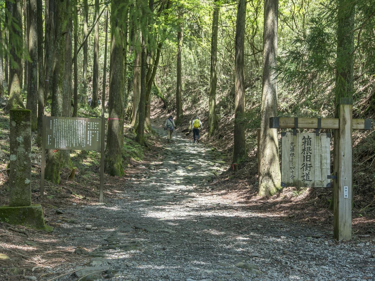 Tkp Lectore Hakone Gora Eksteriør bilde